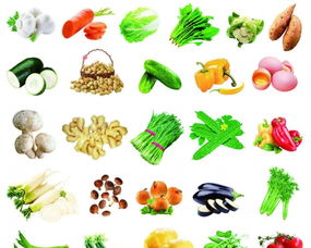 興和蔬菜配送 佛山食堂廚房的優(yōu)質供應商