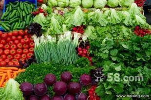 國內陸運與新鮮蔬菜批發 常平、黃江、樟木頭塘廈配送服務詳解