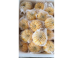 新鮮蔬菜批發的商機與郵編商務網的整合價值