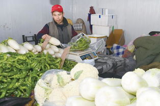 走市場，探探市民的菜籃子 新鮮蔬菜批發的溫度與變遷