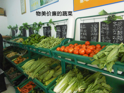 重慶生態農業基地新鮮蔬菜批發與配送指南——以農龍生態農業為例