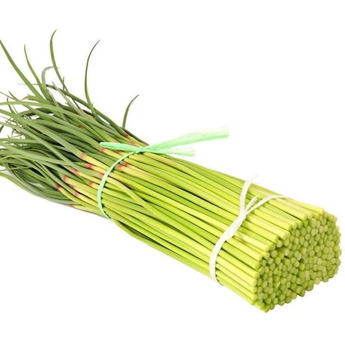 新鮮蔬菜、瓜類與菌菇的批發市場與選購指南