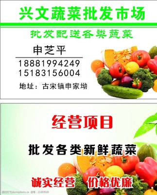 新鮮蔬菜批發 連接田間與餐桌的綠色橋梁