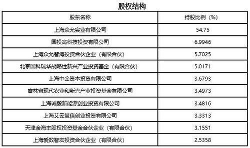 上海信息技術服務公司技術轉讓項目分析（編號 911209）